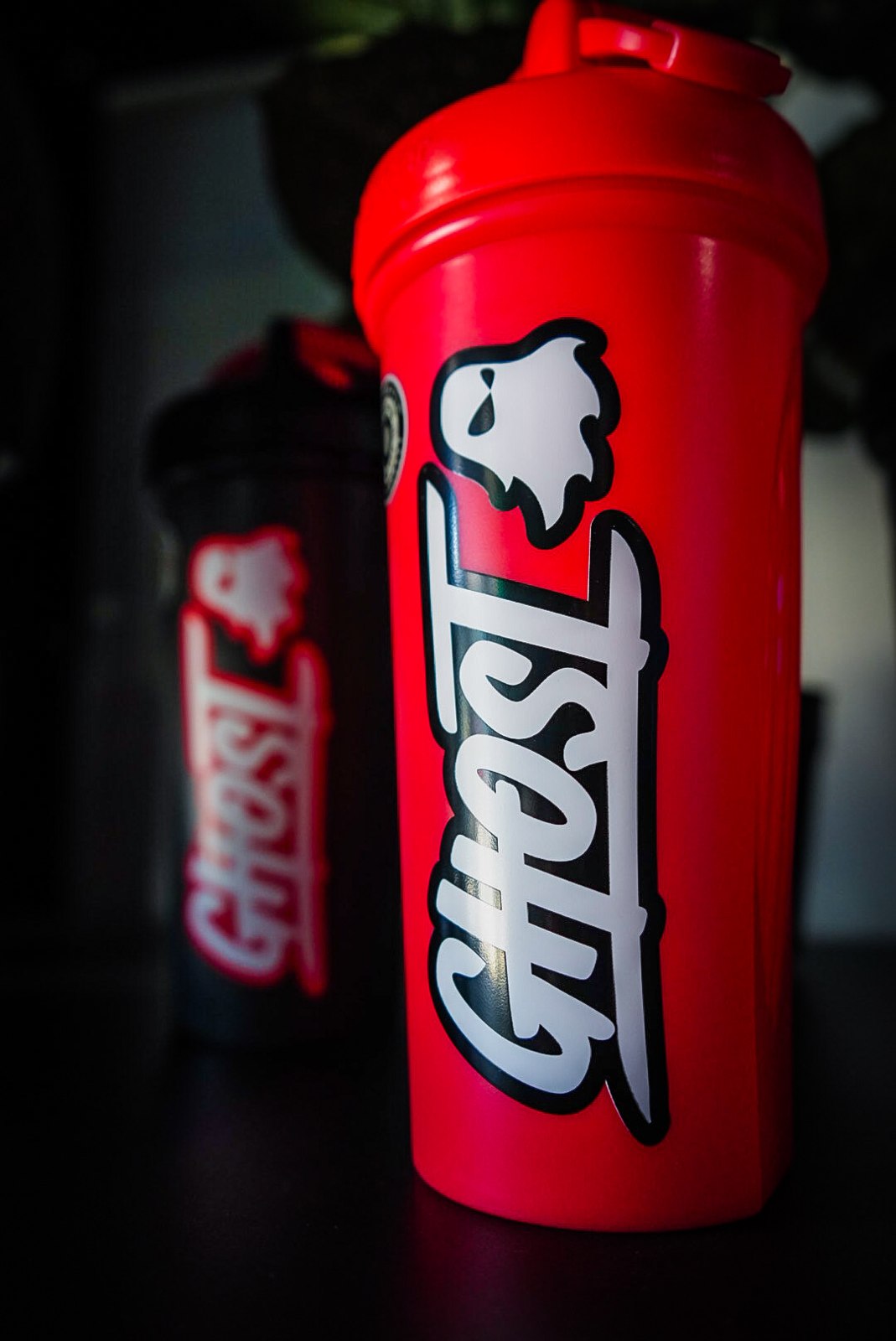 Find a new favorite